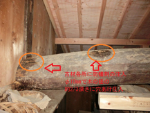 防蟻３